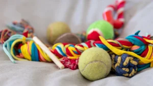 Dog toys including a colourful rope and tennis balls.