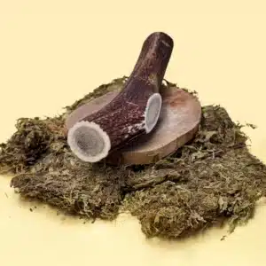 Natural Antler dog chew - Large