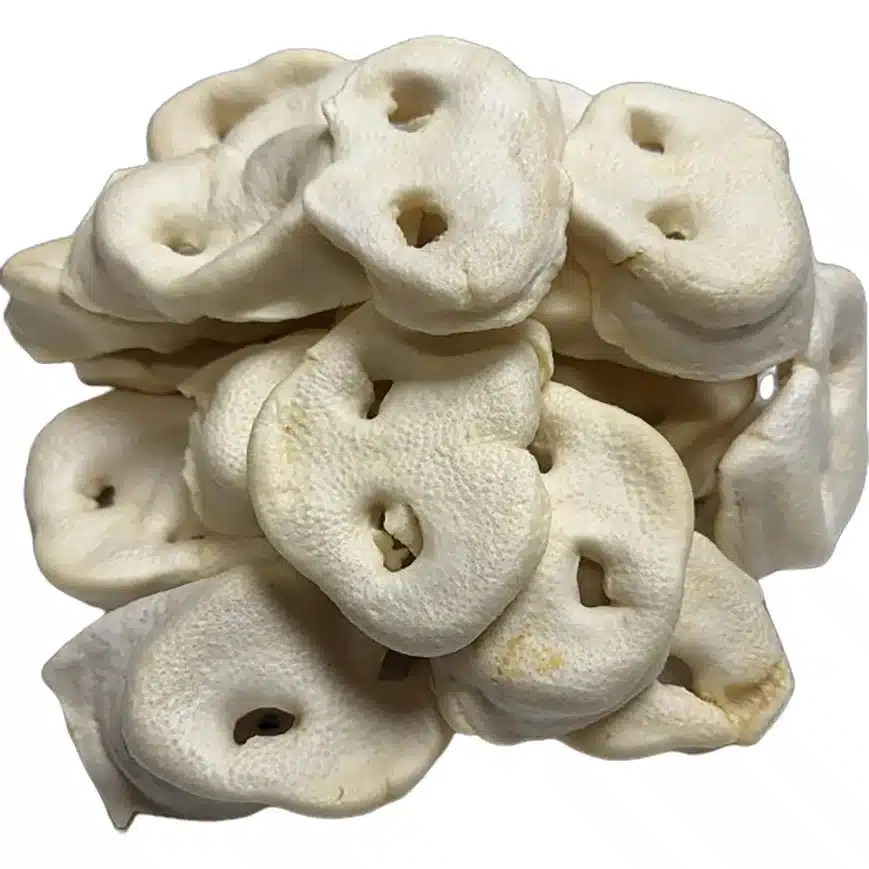 White Pig Snouts